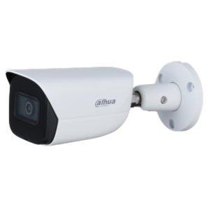 מצלמת צינור IPC-HFW3441EP-AS